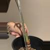 plant/Alocasia cuprea-1-thumbnail