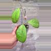 plant/Hoya Patcharawalai seedling by ice-1-thumbnail