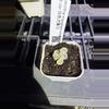plant/B137 white maughanii var-0-thumbnail