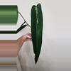 plant/Anthurium Warocqueanum 'Esmeralda'-3-thumbnail