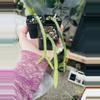 plant/Rhipsalis Micrantha Kirbergii 2”-0-thumbnail