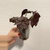 plant/Begonia Sierra Silver Mist-0-thumbnail
