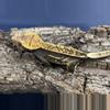 plant/419a 25g Female Super Soft scale Emptyback-0-thumbnail