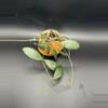 plant/Hoya Sigilattis (round leaf) 459-0-thumbnail