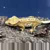 plant/575a 23g Male Yellow Pinstripe white wall-1-thumbnail