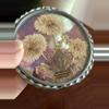 plant/Set of 2 Vintage Dried Florals in twisted pewter frame-4-thumbnail