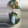 plant/Hoya Maliksi (UPT001)-0-thumbnail
