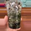plant/Alocasia Micholitziana ‘Frydek’-5-thumbnail