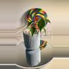 plant/Hoya Polyneura albo-0-thumbnail
