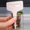 plant/Hoya Lacunosa Asami Clone 2-4-thumbnail