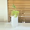 plant/4.7" self watering pot - white-3-thumbnail
