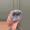 plant/Blue celestite egg-0-thumbnail