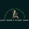 plant/Alocasia True Ninja Albo corm grown-2-thumbnail