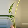 plant/Alocasia Shock Treatment Aurea-2-thumbnail