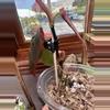 plant/Micans Revert #0014-4-thumbnail