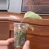 plant/Scindapsus Jade Satin Marble-2-thumbnail