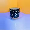 plant/Mini Terracotta Pot 3 in. | Black/White/Terra-2-thumbnail