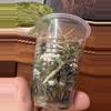 plant/Scindapsus Jade Satin Marble-3-thumbnail