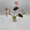 plant/Philodendron Micans Aurea Variegated Cuttings-0-thumbnail