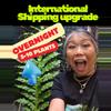 shipping_upgrade/Overnight International Shipping Upgrade-0-thumbnail