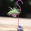 plant/Flamingo air plant holder with azurite and Tillandsia Ionantha Guatemala-0-thumbnail