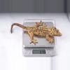 plant/Precision Gecko Scale-0-thumbnail
