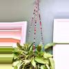 plant/PREORDER Adorable handmade crystal plant hanger, multi colored or clear crystals-0-thumbnail