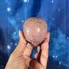 plant/Pink Petrified Wood skull, 29n-5-thumbnail