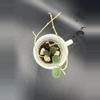 plant/Hoya Serpens w/ peduncles #435-0-thumbnail