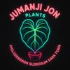 plant/10 Pack of Philodendron Gloriousum Dark Form TC-0-thumbnail