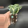 plant/Hoya Polyneura Albo-1-thumbnail