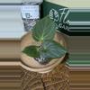 plant/A. KOS (HU)-3-thumbnail
