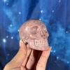 plant/Pink Petrified Wood skull, 29n-0-thumbnail