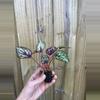 plant/Begonia Rex Salsa starter plant growers choice-3-thumbnail