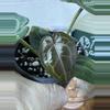 plant/A. Michelle x (Tim Anderson Black x Villenaorum)-0-thumbnail