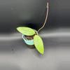 plant/Hoya Verticillata "Red Leaves" #424-0-thumbnail