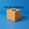 plant/OVERNIGHT PRIORITY FEDEX SHIPPING-0-thumbnail