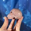 plant/Pink Petrified Wood skull, 29n-3-thumbnail
