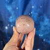 plant/Pink Petrified Wood skull, 29n-2-thumbnail