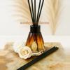 plant/Ombre Diffuser W/Reeds-0-thumbnail