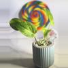 plant/🍭SWEET TREAT 🍭Epipremnum Alta Voltage-0-thumbnail