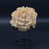 plant/Calcite Flower-0-thumbnail