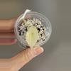 plant/240 Alocasia Scalprum Mint-0-thumbnail