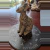 plant/Kiwi jasper sphynx cat-1-thumbnail