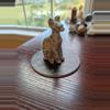 plant/Kiwi jasper sphynx cat-0-thumbnail
