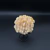 plant/Calcite Flower-1-thumbnail