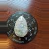 plant/Flower agate egg-1-thumbnail