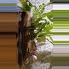 plant/Driftwood planter-2-thumbnail