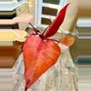 plant/Philodendron PERSIMMON PRINCESS-4-thumbnail