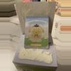 plant/Sanrio Fox Island Series - 1x Pompompurin-1-thumbnail
